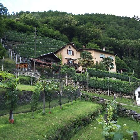 Casa Immersa Nel Vigneto Roveredo ภายนอก รูปภาพ