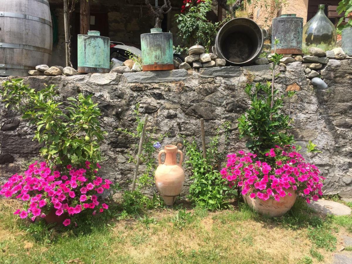 Casa Immersa Nel Vigneto Roveredo ภายนอก รูปภาพ