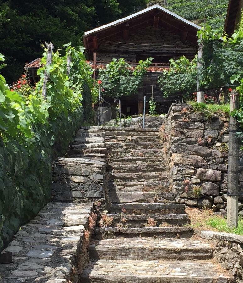 Casa Immersa Nel Vigneto Roveredo ภายนอก รูปภาพ