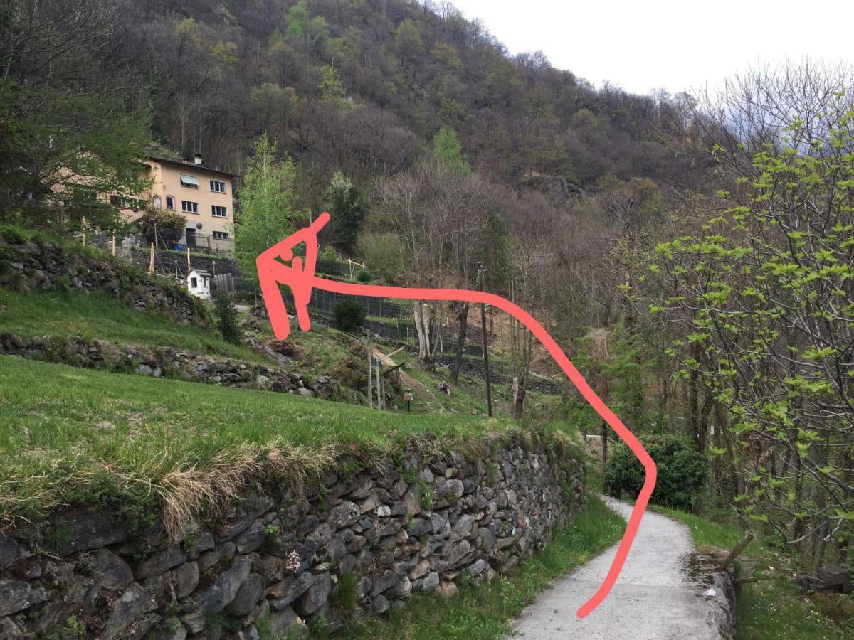 Casa Immersa Nel Vigneto Roveredo ภายนอก รูปภาพ